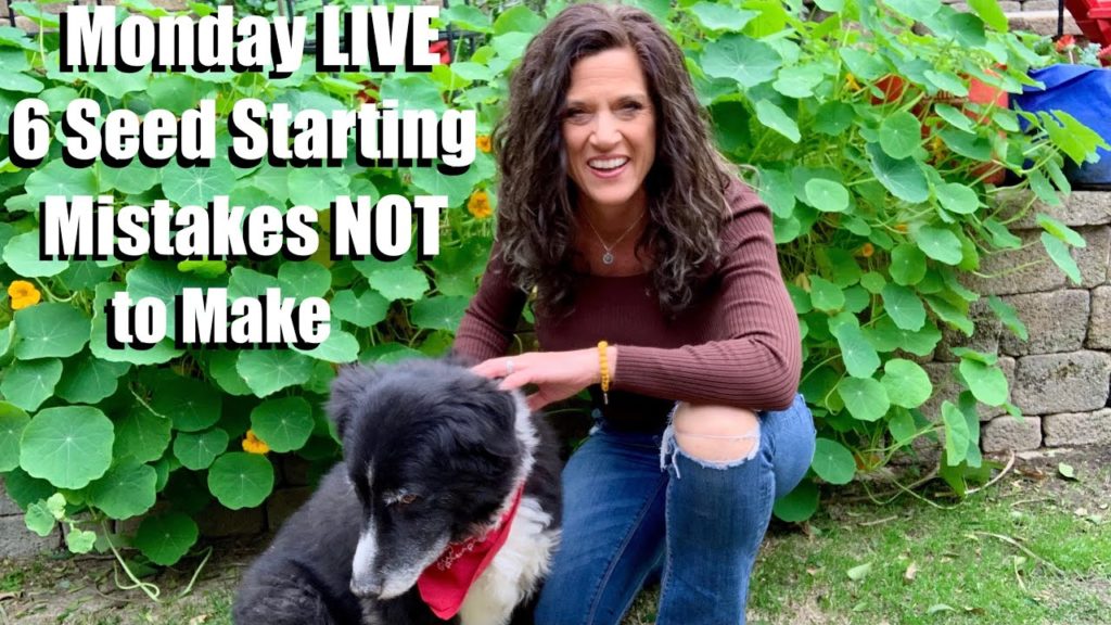 🍅LIVE: 6 Seed Starting Mistakes NOT to Make (REPLAY)