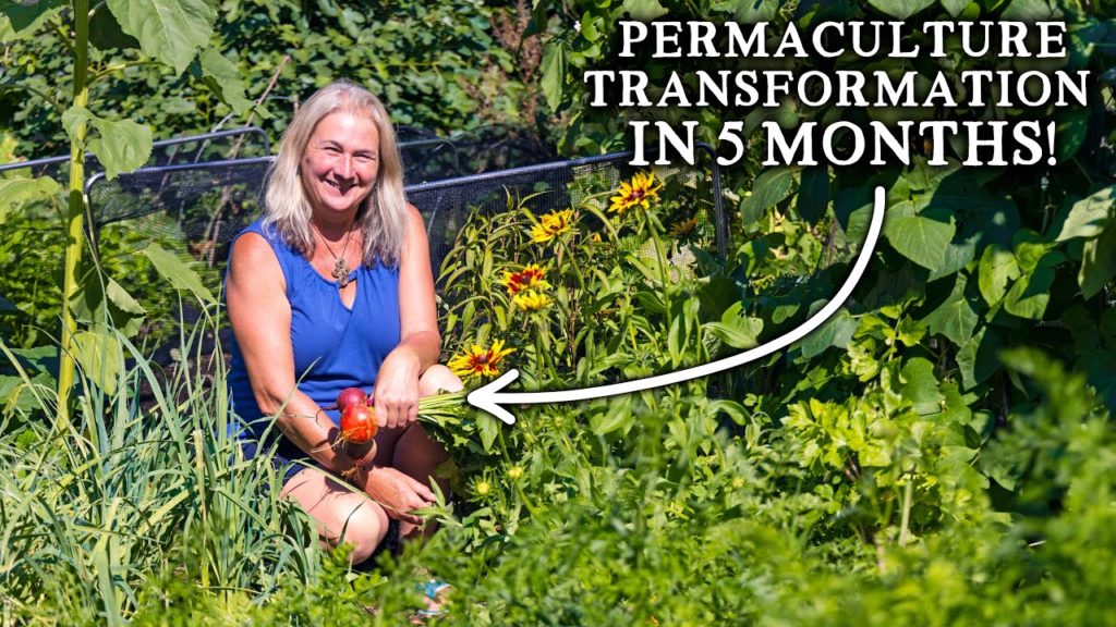 From Lawn to No Dig Abundance in 5 MONTHS | NEW Productive Kitchen Garden for Minimal Effort