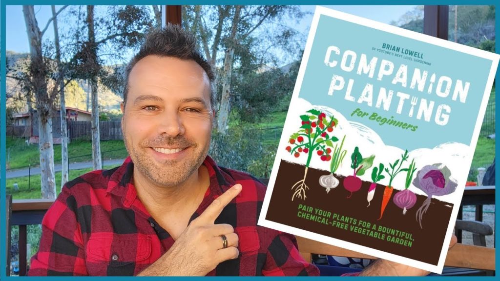 Companion Planting for Beginners - MY NEW BOOK!!!