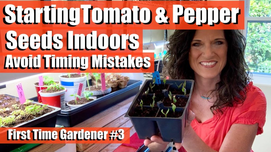 How to Start Tomato and Pepper Seeds Indoors-Avoid Timing Mistakes/First Time Gardener #3 🍅🫑