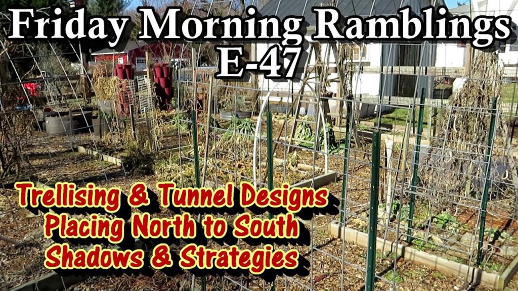 Gary Pilarchik: How to Place Trellises & Tunnels, North to South?, Vertical Designs : FM Gardening Ramblings E-47 How to Place Trellises & Tunnels, North to South?, Vertical Designs : FM Gardening Ramblings E-47