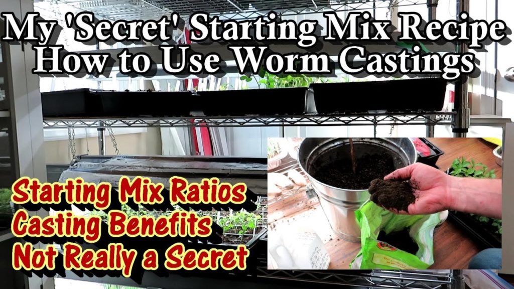 Gary Pilarchik: How to Use Worm Castings in Seed Starting & Potting-Up Mixes: My Secret Recipe – Beyond Basics! How to Use Worm Castings in Seed Starting & Potting-Up Mixes: My Secret Recipe - Beyond Basics!