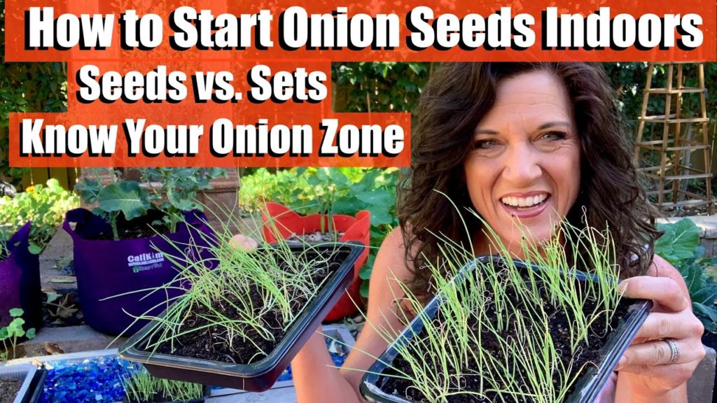 How to Start Onion Seeds Indoors - Sets vs. Seeds, Know Your Onion Zone / First Time Gardener #5