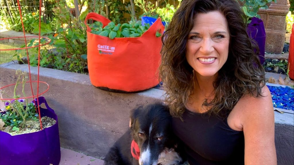 CaliKim: 🍅LIVE: February Vegetable Garden To Do List- For Any Climate (REPLAY) Oops – Sound starts at 2:22 🍅LIVE: February Vegetable Garden To Do List- For Any Climate (REPLAY) Oops - Sound starts at 2:22