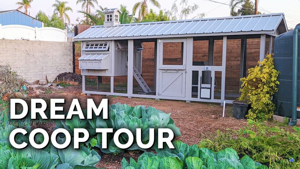 Epic Gardening: The Dream Chicken Coop | Full Tour with @Carolina Coops The Dream Chicken Coop | Full Tour with @Carolina Coops