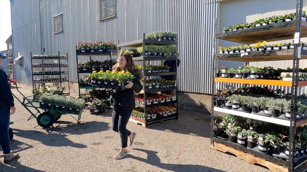Garden Answer: New Plant Load at the Garden Center! 🌿🌸🌼 // Garden Answer New Plant Load at the Garden Center! 🌿🌸🌼 // Garden Answer
