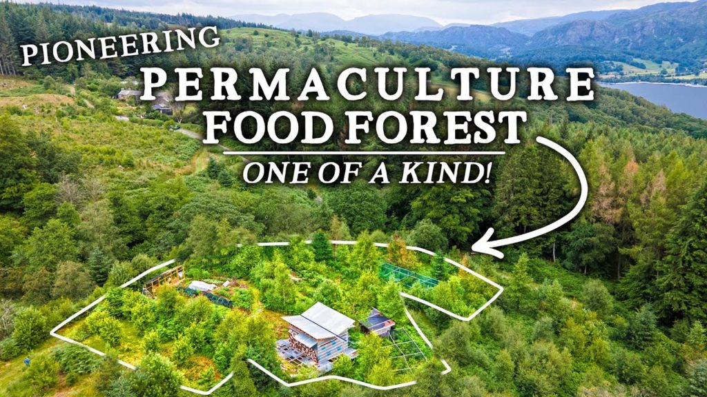 Huw Richards: Incredible Permaculture Food Forest Project in Breathtaking Landscape Incredible Permaculture Food Forest Project in Breathtaking Landscape