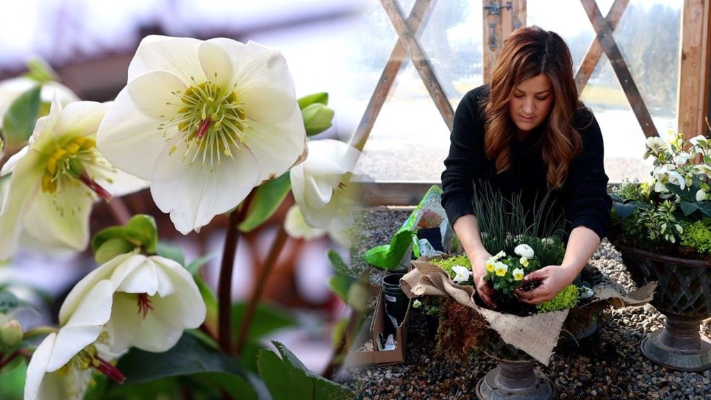 Garden Answer: First Containers of Spring! 💚🤍💛 // Garden Answer First Containers of Spring! 💚🤍💛 // Garden Answer