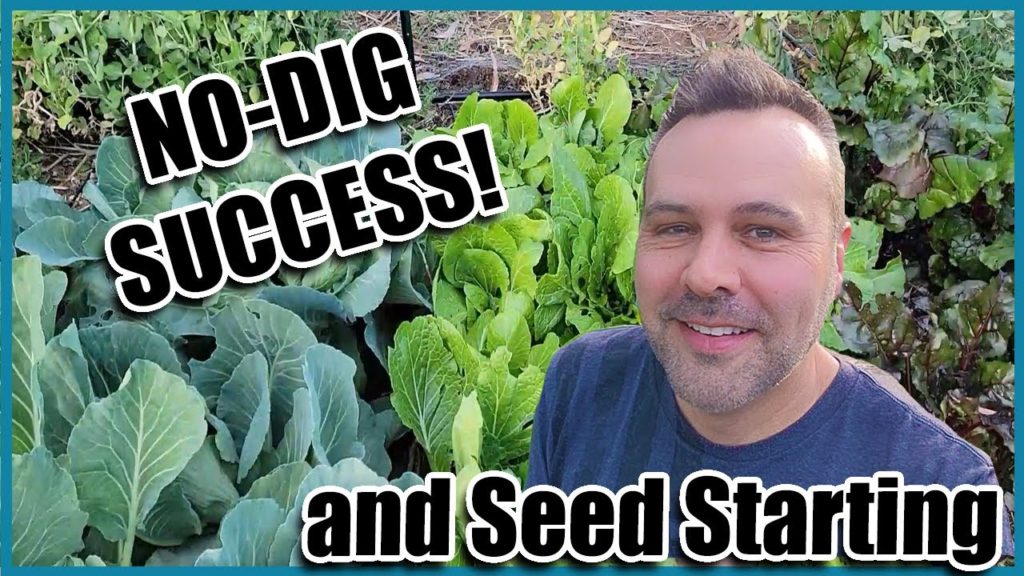 No Dig Garden Success!