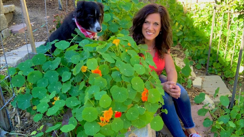 🐝 LIVE: 4 Tips to Attract Pollinators to Your Garden! 🦋 (REPLAY)