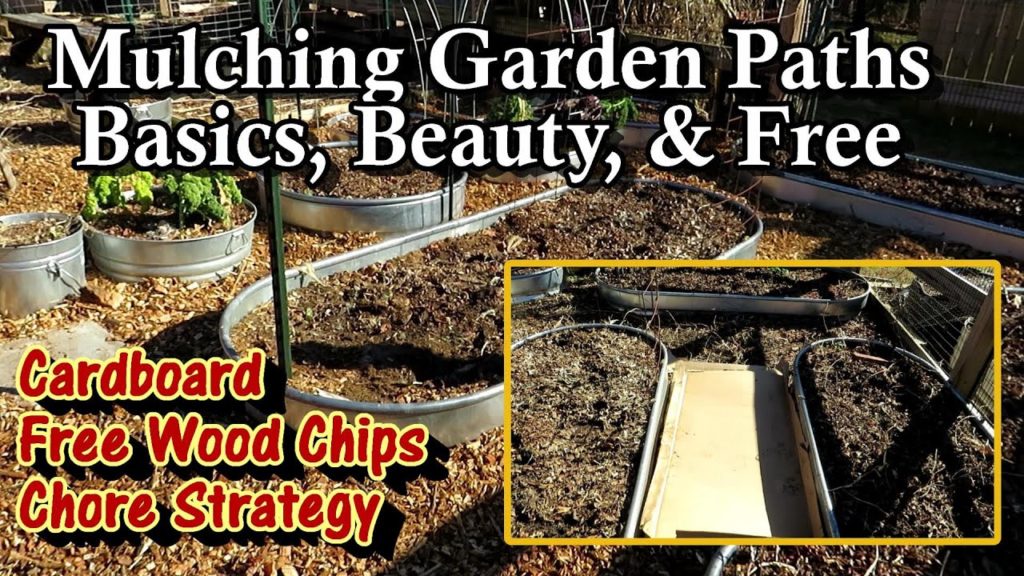 Gary Pilarchik: How to Mulch Garden Paths in Simple Steps: Free Wood Chips, Cardboard, & Breaking the Task Down How to Mulch Garden Paths in Simple Steps: Free Wood Chips, Cardboard, & Breaking the Task Down