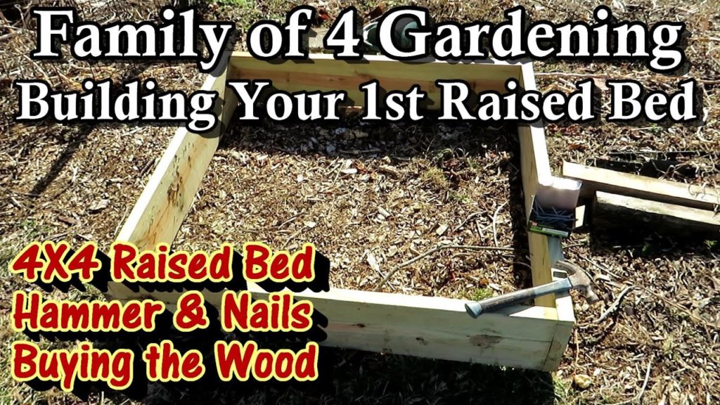 Family of 4 Vegetable Gardening E-3: How to Easily Build Your 1st Raised Bed & A Trip to Buy Lumber!
