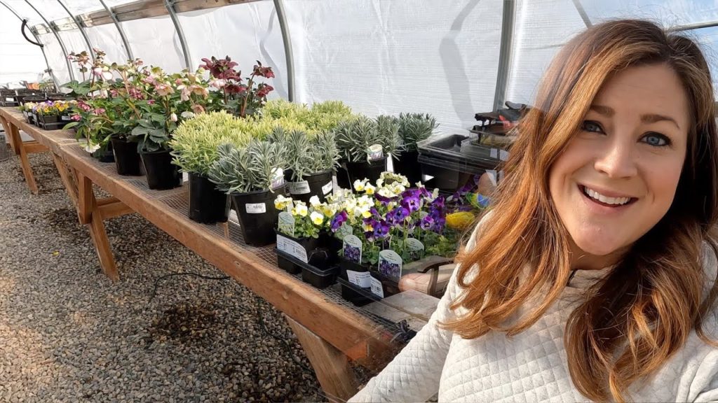 Garden Answer: Potting Ranunculus and Anemones and Pre-Sprouting Dahlias! 🙌🌿🌸 // Garden Answer Potting Ranunculus and Anemones and Pre-Sprouting Dahlias! 🙌🌿🌸 // Garden Answer