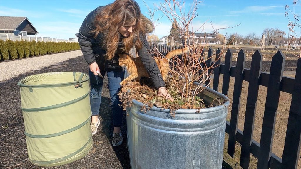 Pruning Blueberries & Starting Herb Seeds! 🫐🌿🪴 // Garden Answer