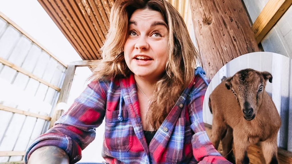 Roots and Refuge Farm: Has Spring Sprung? (First kidding of the season and garden plans unfold) | VLOG Has Spring Sprung? (First kidding of the season and garden plans unfold) | VLOG
