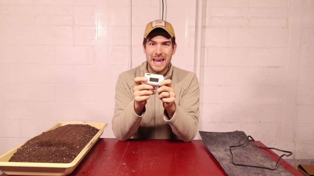 These 7 Things Are Not Necessary For Starting Seeds (But are Luxuries)