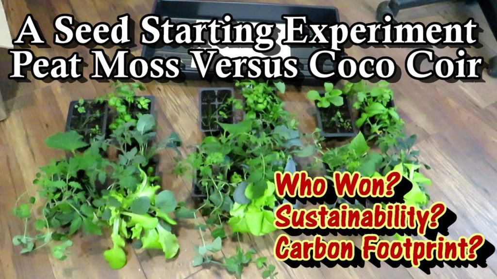 Gary Pilarchik: A Seed Starting Experiment – Peat Moss v. Coco Coir: Who Won, Environmental Concerns, Your Choice A Seed Starting Experiment - Peat Moss v. Coco Coir: Who Won, Environmental Concerns, Your Choice