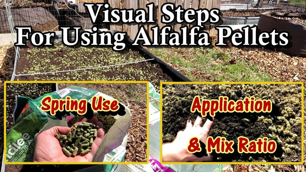 Using  Alfalfa Pellets as a Spring Amendment for Raised & Earth Beds &  Containers: Visual  Steps!