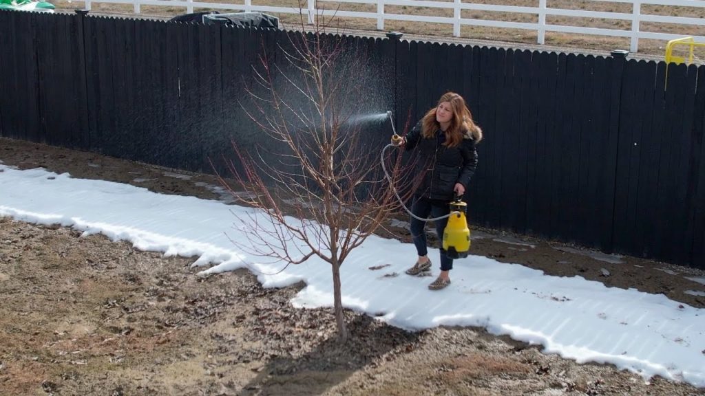 Spraying Fruit Trees & Planting Peppers! 🌳🌶 // Garden Answer