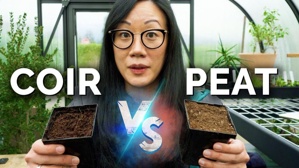 Epic Gardening: Peat Moss vs. Coconut Coir: Are They BOTH Bad? Peat Moss vs. Coconut Coir: Are They BOTH Bad?