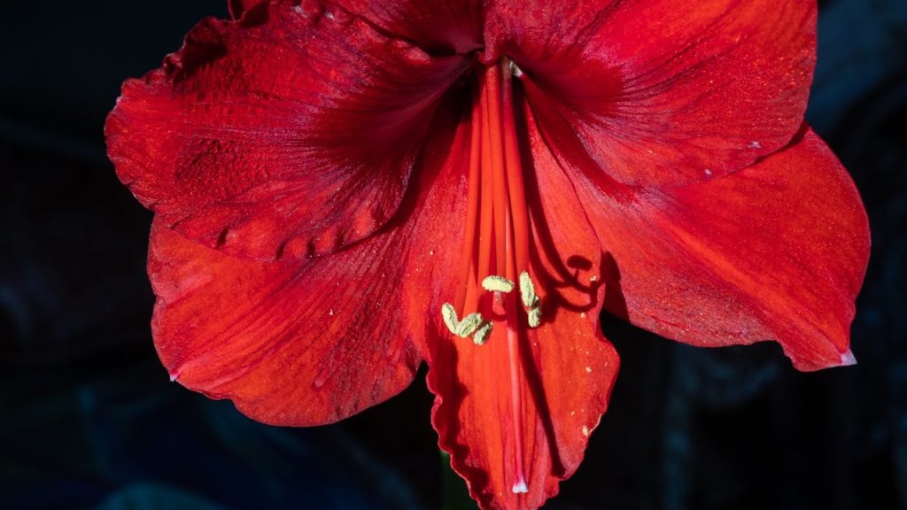 Too MUDDY to prep the GARDEN?