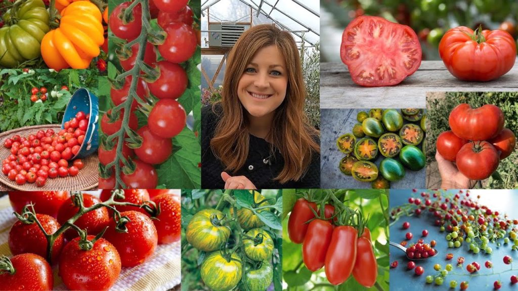 Tomato Planting Basics + The 26 Varieties We’re Growing From Seed This Year! 🍅🌿🤤 // Garden Answer