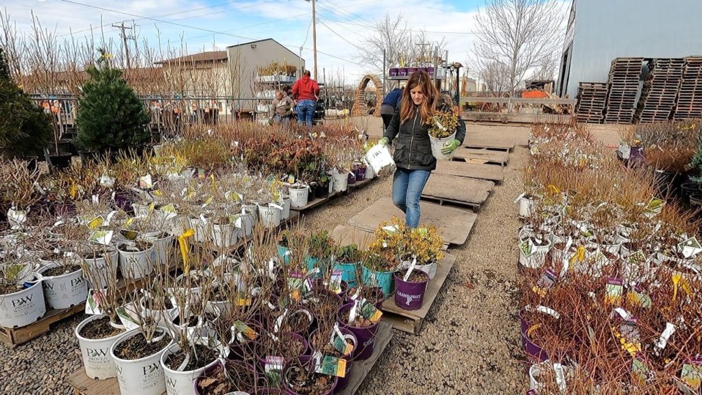 Unloading Over 3000 Plants at the Garden Center! 😱🌿🙌 // Garden Answer