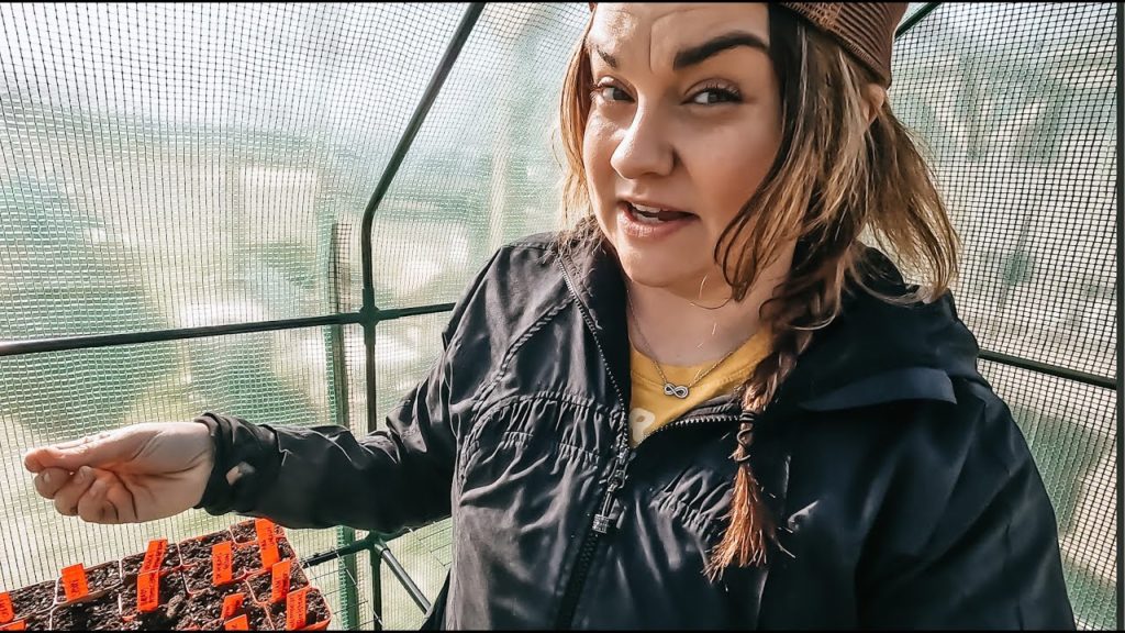 Roots and Refuge Farm: Goat babies and The Company of Growing Things! | VLOG Goat babies and The Company of Growing Things! | VLOG