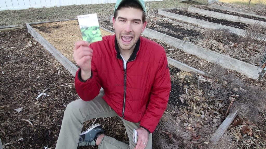 MIgardener: Crops You Can Direct Sow Before Your Last Frost Crops You Can Direct Sow Before Your Last Frost