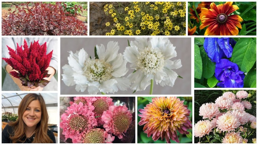 Planting a Whole Bunch of Flower Seeds for the Cut Garden! 🌸🌿🌼 // Garden Answer