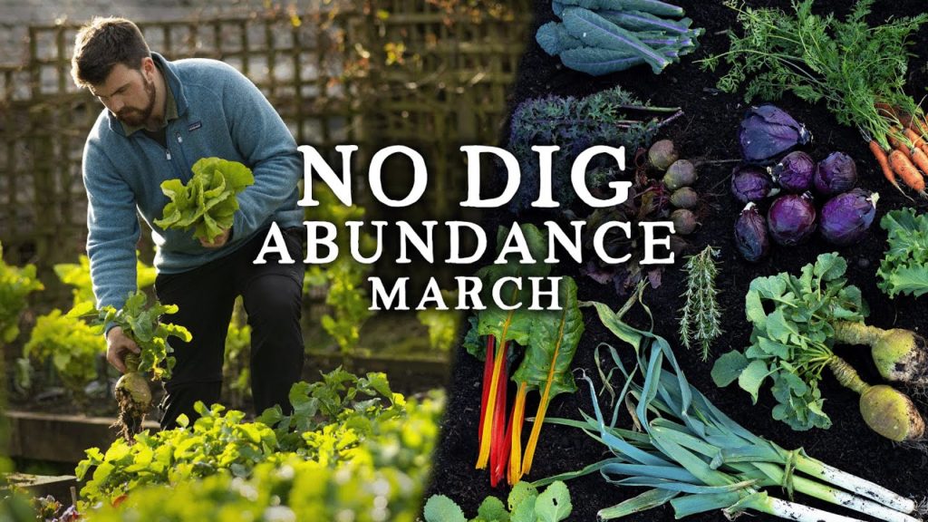 Huw Richards: Precious No Dig Harvests in March As Seed Sowing Commences Precious No Dig Harvests in March As Seed Sowing Commences