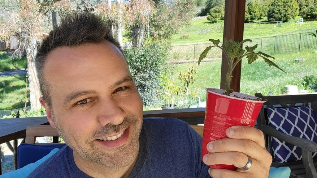 California Garden TV: Best Way to Start Tomato Seeds Indoors (or Outdoors) Best Way to Start Tomato Seeds Indoors (or Outdoors)