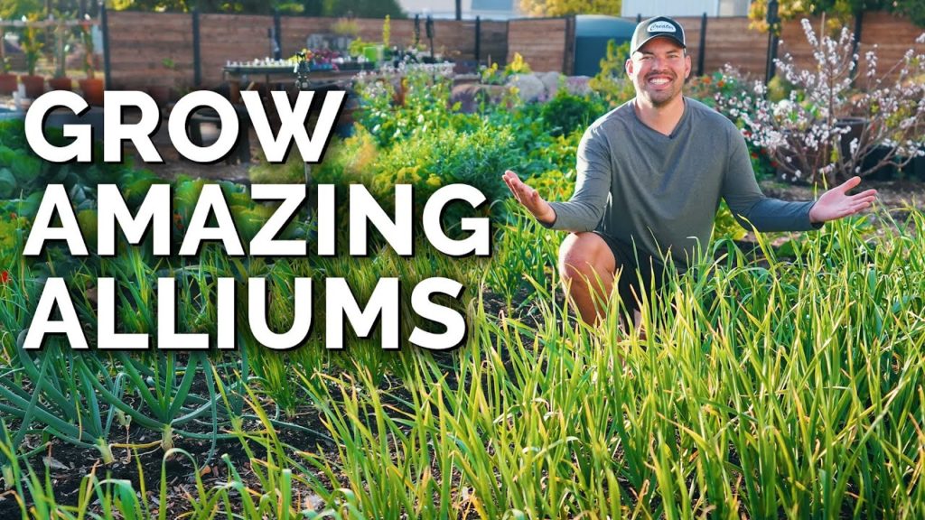 Epic Gardening: 8 Tips to Grow Perfect Onions, Garlic, and Leeks 8 Tips to Grow Perfect Onions, Garlic, and Leeks