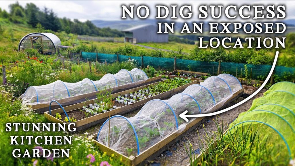 This Impressive Kitchen Garden Grows 80% of Their Vegetables Using No Dig Methods
