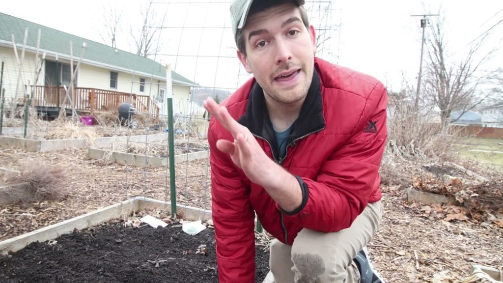 How We Grow High Intensity Lettuce