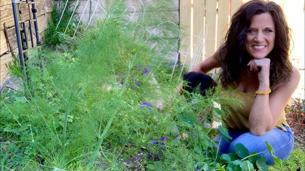 🌱LIVE: Herb Gardening 101 - Tips and Tricks  (REPLAY) Sounds starts at 01:40