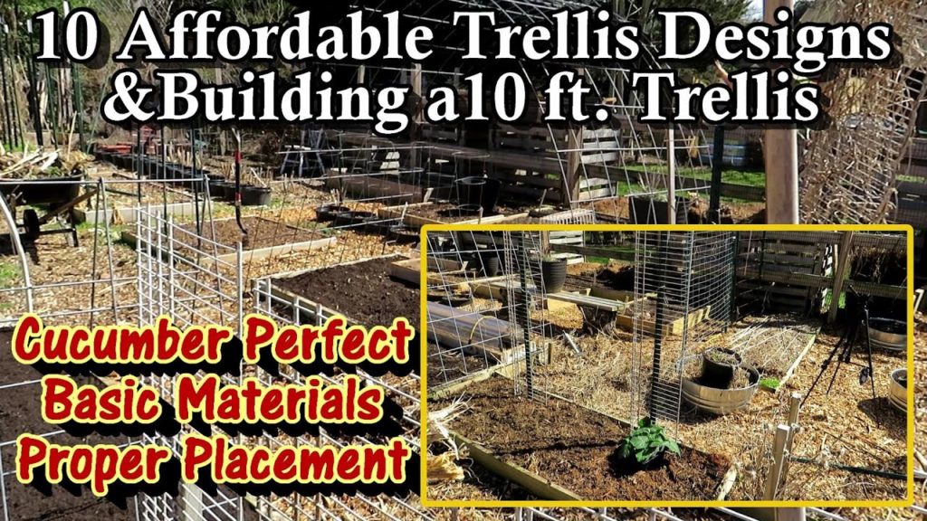 Gary Pilarchik: 10 Affordable Cucumber Trellis Designs, Building a 10 ft. Trellis, & How to Place Them Correctly 10 Affordable Cucumber Trellis Designs, Building a 10 ft. Trellis, & How to Place Them Correctly