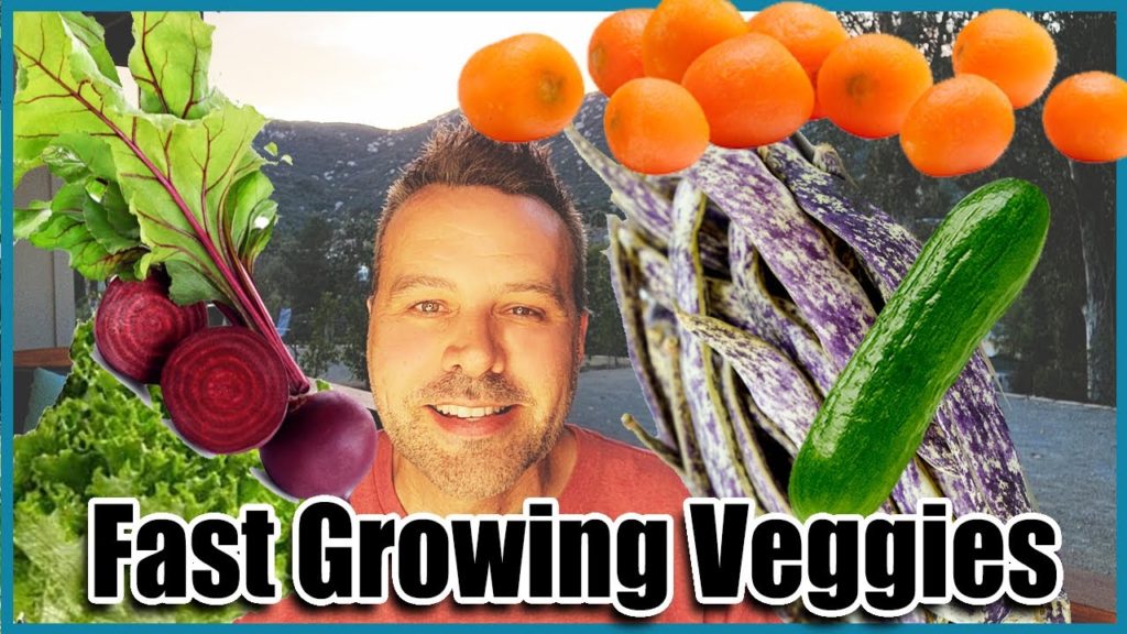10 Fastest Growing Vegetables You Can Grow NOW!