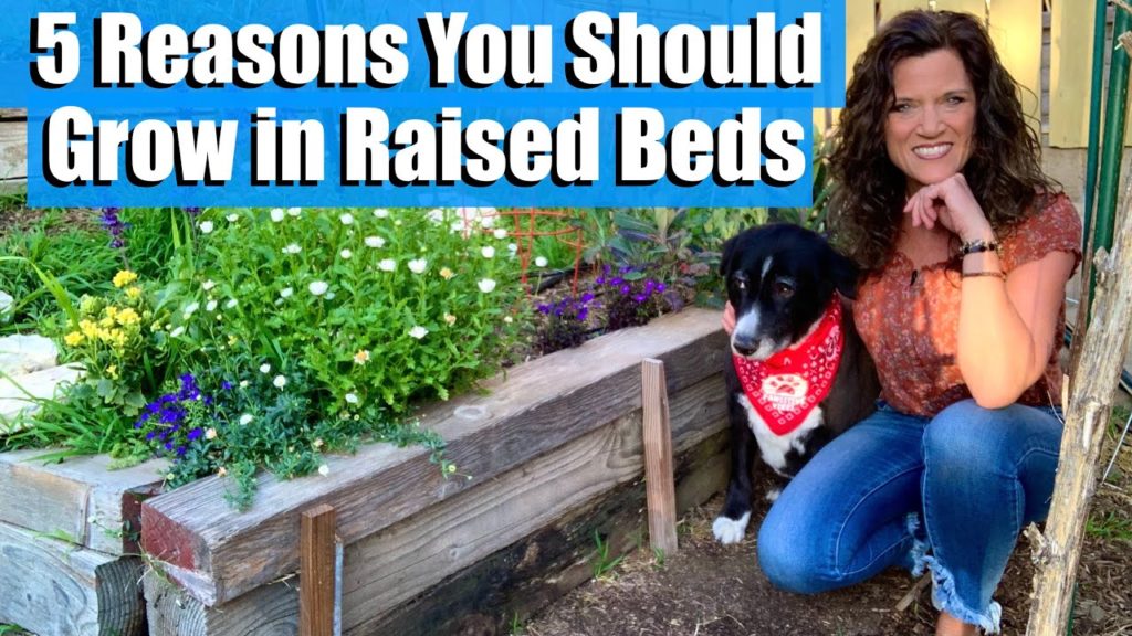 5 Reasons Why You Should Grow Vegetables in Raised Beds & Giveaway / Raised Bed Garden Series #1