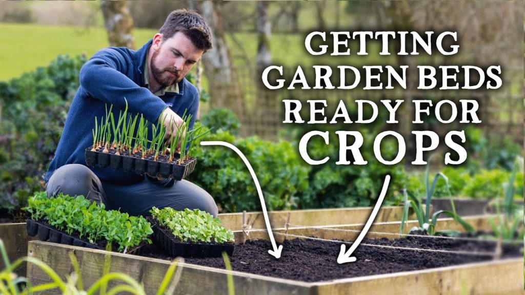 Huw Richards: How To Prepare Beds Before Sowing & Planting Crops | Outside & Undercover How To Prepare Beds Before Sowing & Planting Crops | Outside & Undercover