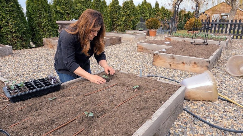 Garden Answer: Planting Spring Crops! 🧅🥦🥕 // Garden Answer Planting Spring Crops! 🧅🥦🥕 // Garden Answer