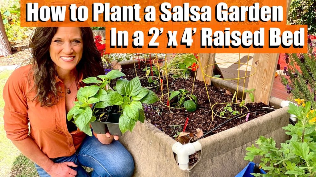 How to Plant a Salsa Garden In a  2’ x 4’ Raised Bed / Raised Bed Garden #3