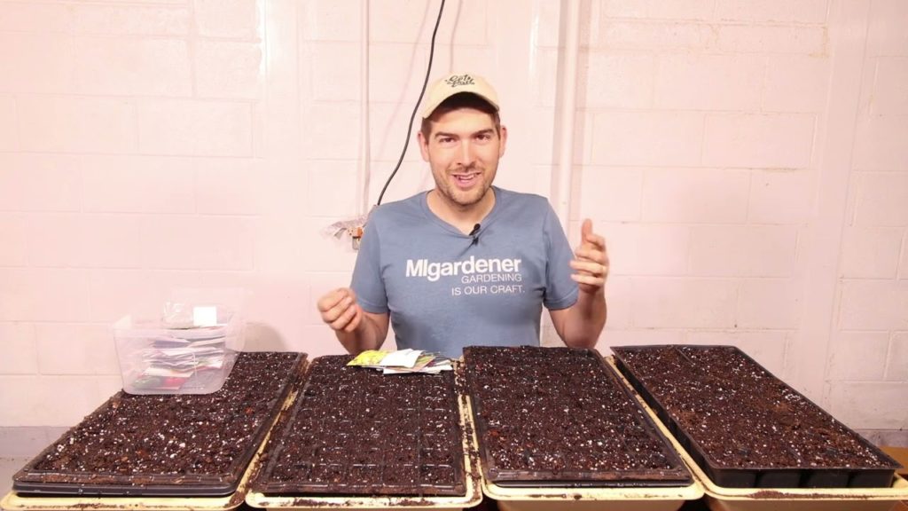 We Are Starting The First Seeds For This Year's Garden