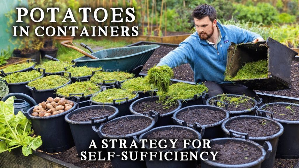 Huw Richards: 5 Reasons Why I'm Not Growing Potatoes in Raised Beds | Growing Potatoes in Containers 5 Reasons Why I'm Not Growing Potatoes in Raised Beds | Growing Potatoes in Containers