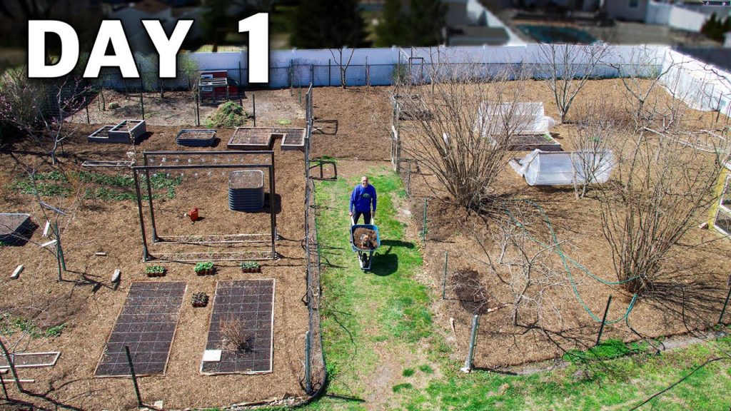 James Prigioni: Early Spring Garden Tour, Suburban Backyard Gardening Early Spring Garden Tour, Suburban Backyard Gardening