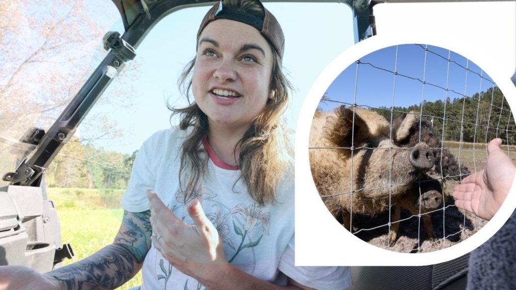Roots and Refuge Farm: Should you raise MANGALITSA Hogs? (Processing some FATTY pigs) | VLOG Should you raise MANGALITSA Hogs? (Processing some FATTY pigs) | VLOG