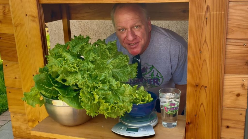 Jeb Gardener: Air vs Water, Indoor vs Outdoor Air vs Water, Indoor vs Outdoor