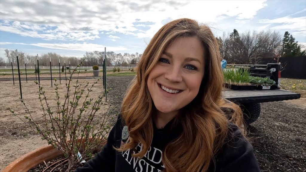 Garden Answer: Planting Grapes, Onions & Cabbage (+ Honeyberry Update)! 🍇🧅🥬 // Garden Answer Planting Grapes, Onions & Cabbage (+ Honeyberry Update)! 🍇🧅🥬 // Garden Answer