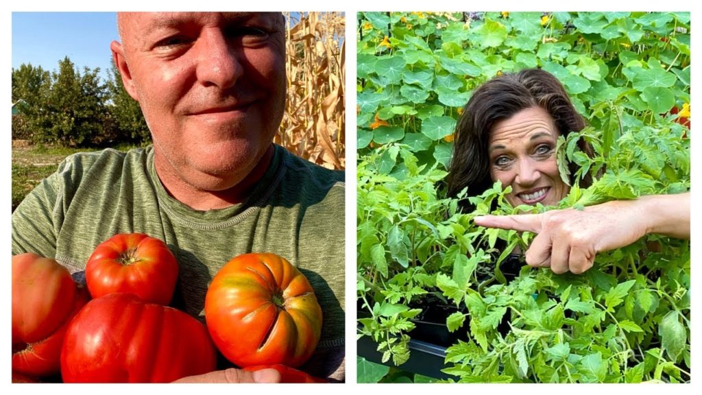 🍅 LIVE: Expert Tomato Growing Tips with Master Gardener Cliff Warren (REPLAY- Sound starts at 1:37)