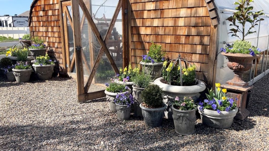 Garden Answer: Refreshing Perennial Containers, Planting Raspyberries & the Greenhouse Pots! πππ // Garden Answer Refreshing Perennial Containers, Planting Raspyberries & the Greenhouse Pots! πππ // Garden Answer